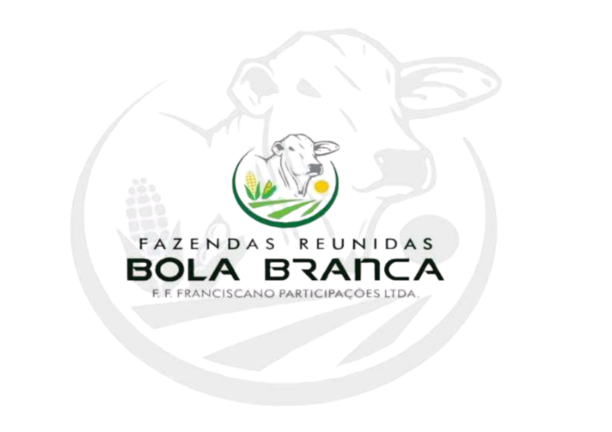 Patrocinador Fazendas Reunidas Bola Branca